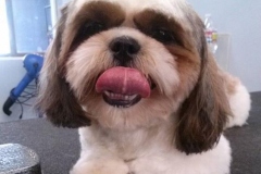 Barkley
